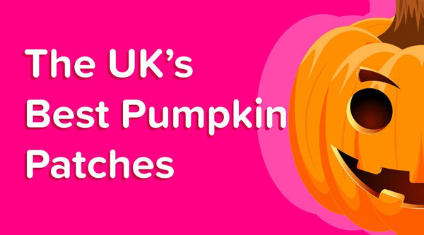 The UK’s Best Pumpkin Patches - OutdoorToys