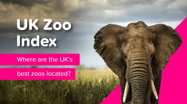 UK Zoo Index - OutdoorToys