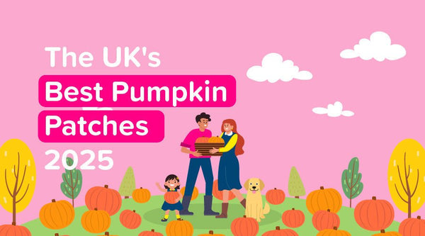 The UK's Best Pumpkin Patches 2025 - OutdoorToys