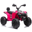 OutdoorToys Sport Kids Electric Ride On Quad Bike