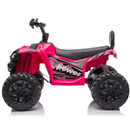 OutdoorToys Sport Kids Electric Ride On Quad Bike
