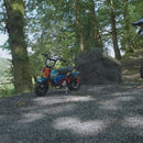 Renegade MK250 Kids Electric Dirt Bike - Fire