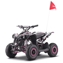 Renegade Race - X Kids Electric Mini Quad Bike