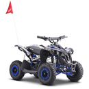 Renegade Race - X Kids Electric Mini Quad Bike