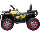 Desert D9 12v Children’s Electric Ride On ATV Quad Bike
