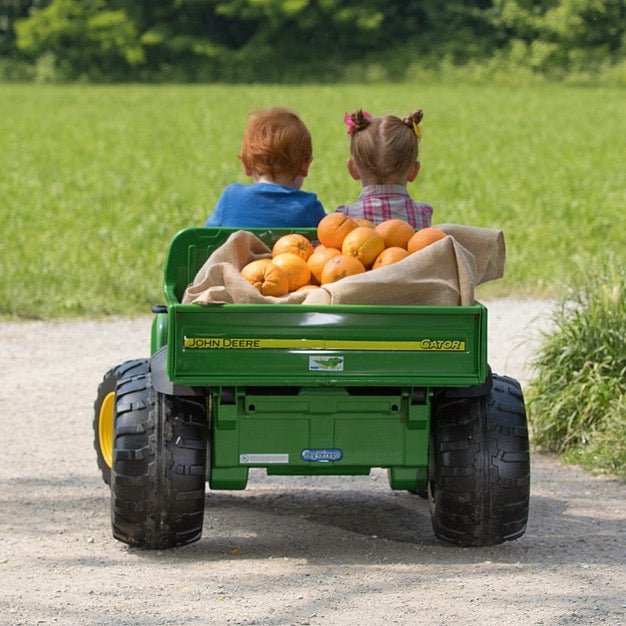 peg perego john deere gator 4x2 Peg Perego John Deere Gator Kids Ride On UTV
