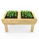 Rebo Wooden Learn and Grow Planter Double