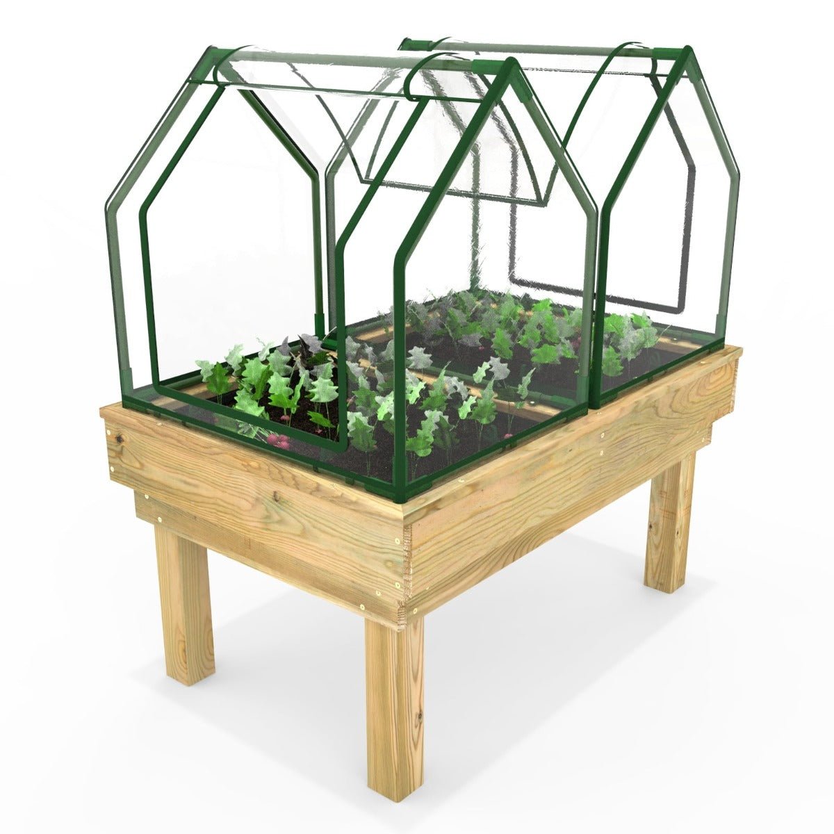 Rebo Wooden Learn and Grow Planter Double with Greenhouse