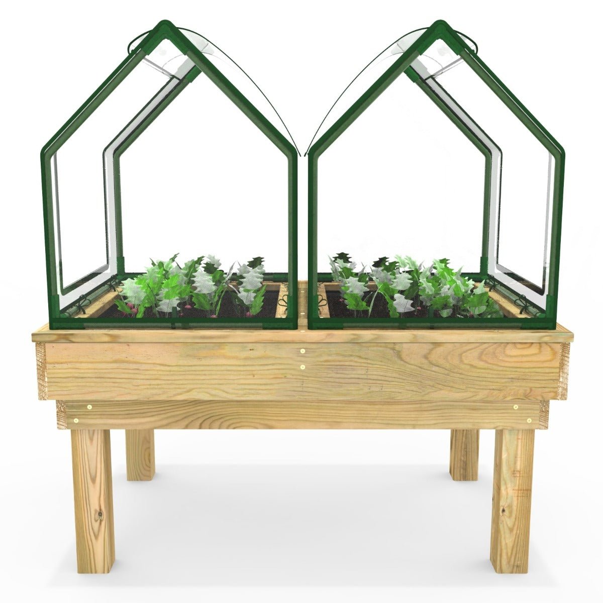 Rebo Wooden Learn and Grow Planter Double with Greenhouse