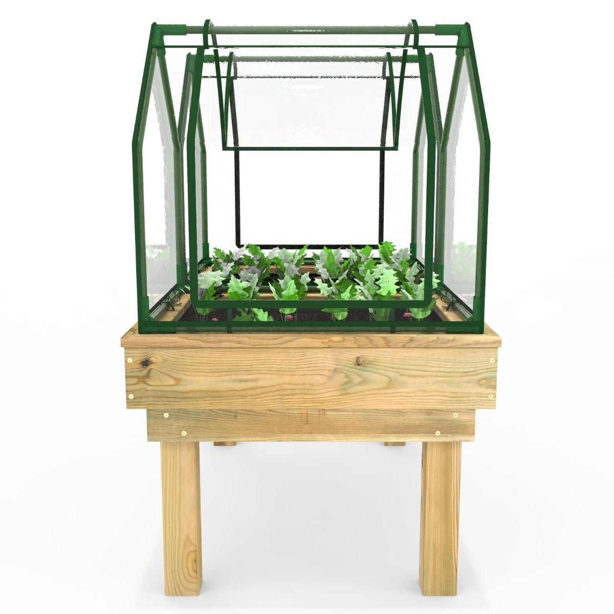 Rebo Wooden Learn and Grow Planter Double with Greenhouse