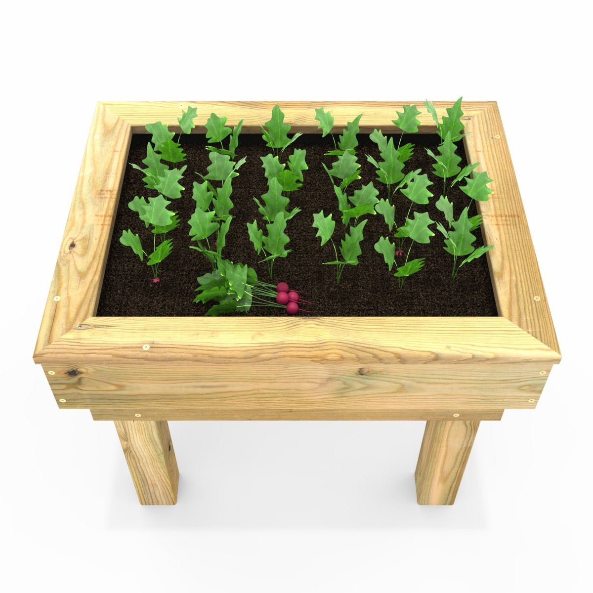 Rebo Wooden Learn and Grow Single Planter