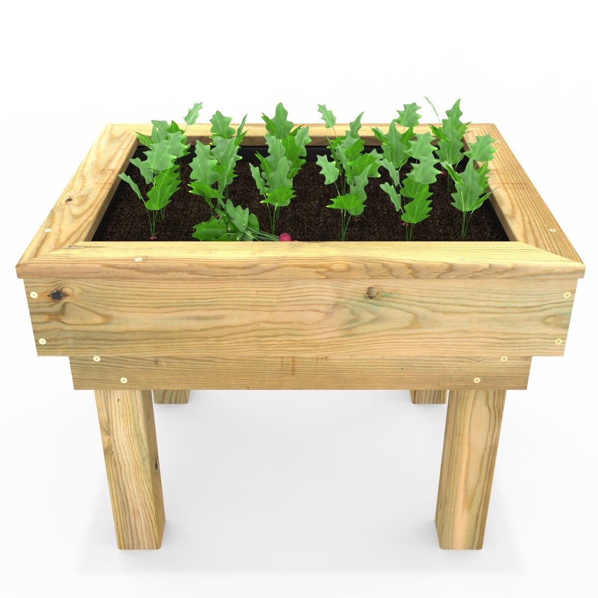 Rebo Wooden Learn and Grow Single Planter