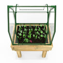 Rebo Wooden Learn and Grow Single Planter with Greenhouse
