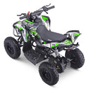 Renegade Race-X 36V 1000W Electric Mini Quad Bike