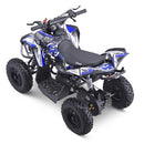 Renegade Race-X 36V 1000W Electric Mini Quad Bike