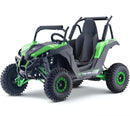 Renegade UTV 48V 1200W Brushless Shaft Drive Electric Buggy