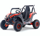 Renegade UTV 48V 1200W Brushless Shaft Drive Electric Buggy